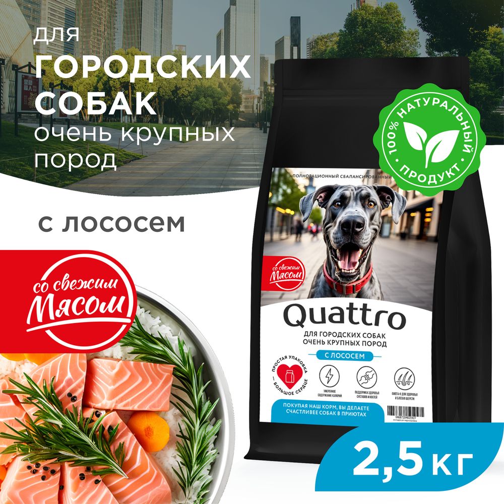 

Сухой корм для собак QUATTRO, большие породы, для живущих в городе, с лососем, 2,5 кг