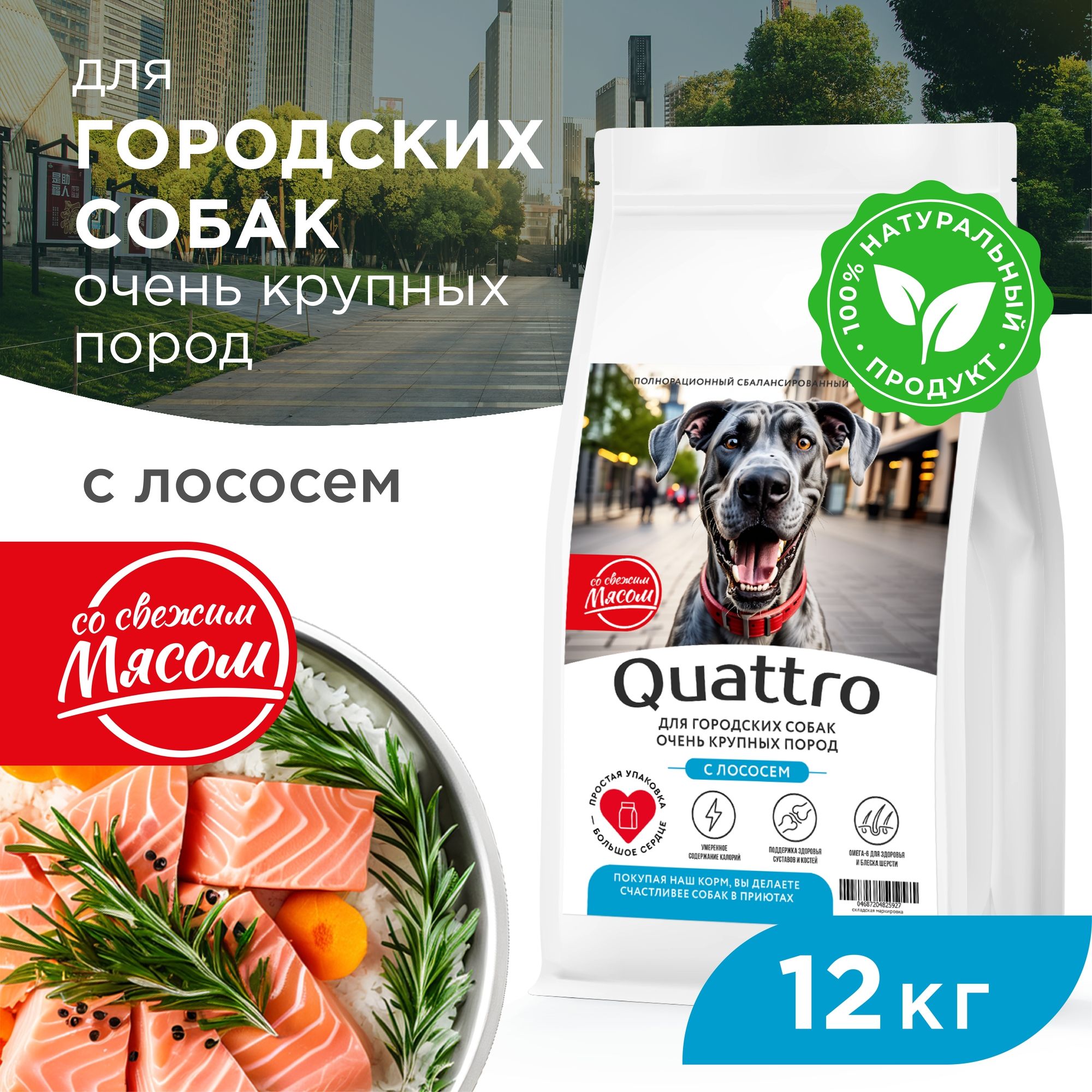 

Сухой корм для собак QUATTRO, большие породы, для живущих в городе, с лососем, 12 кг