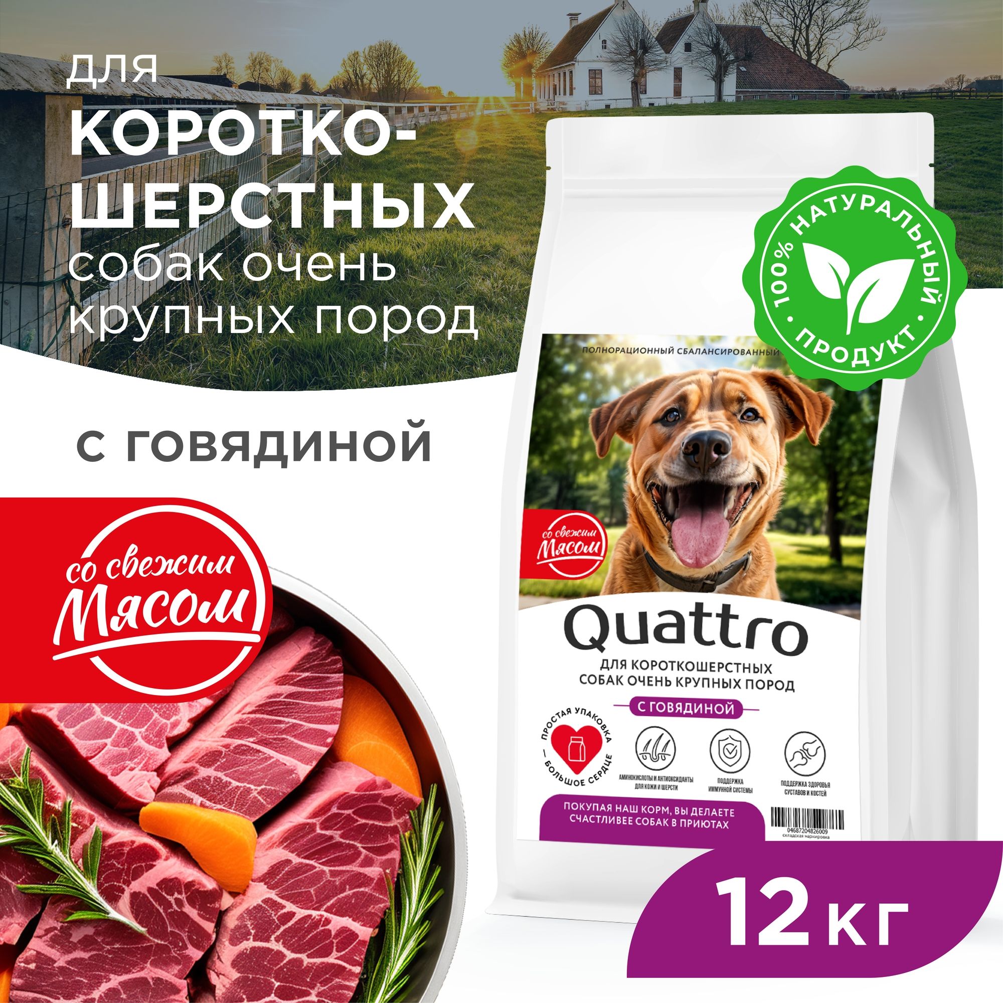 

Сухой корм для собак QUATTRO, большие короткошерстные породы, с говядиной, 12 кг