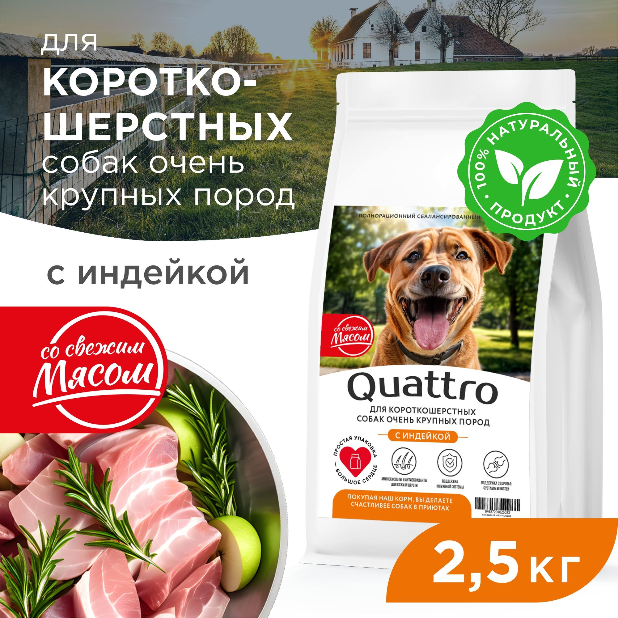 

Сухой корм для собак QUATTRO, большие короткошерстные породы, с индейкой, 2,5 кг