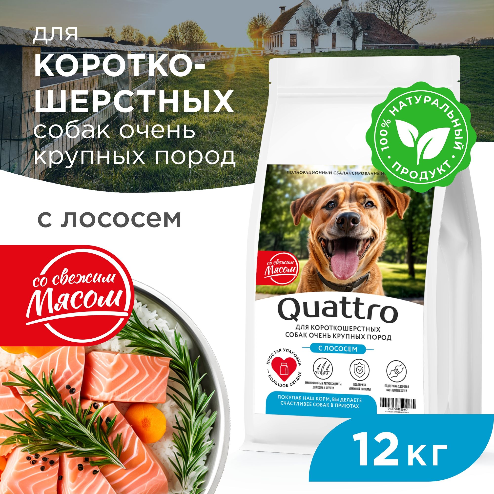 

Сухой корм для собак QUATTRO, большие короткошерстные породы, с лососем, 12 кг