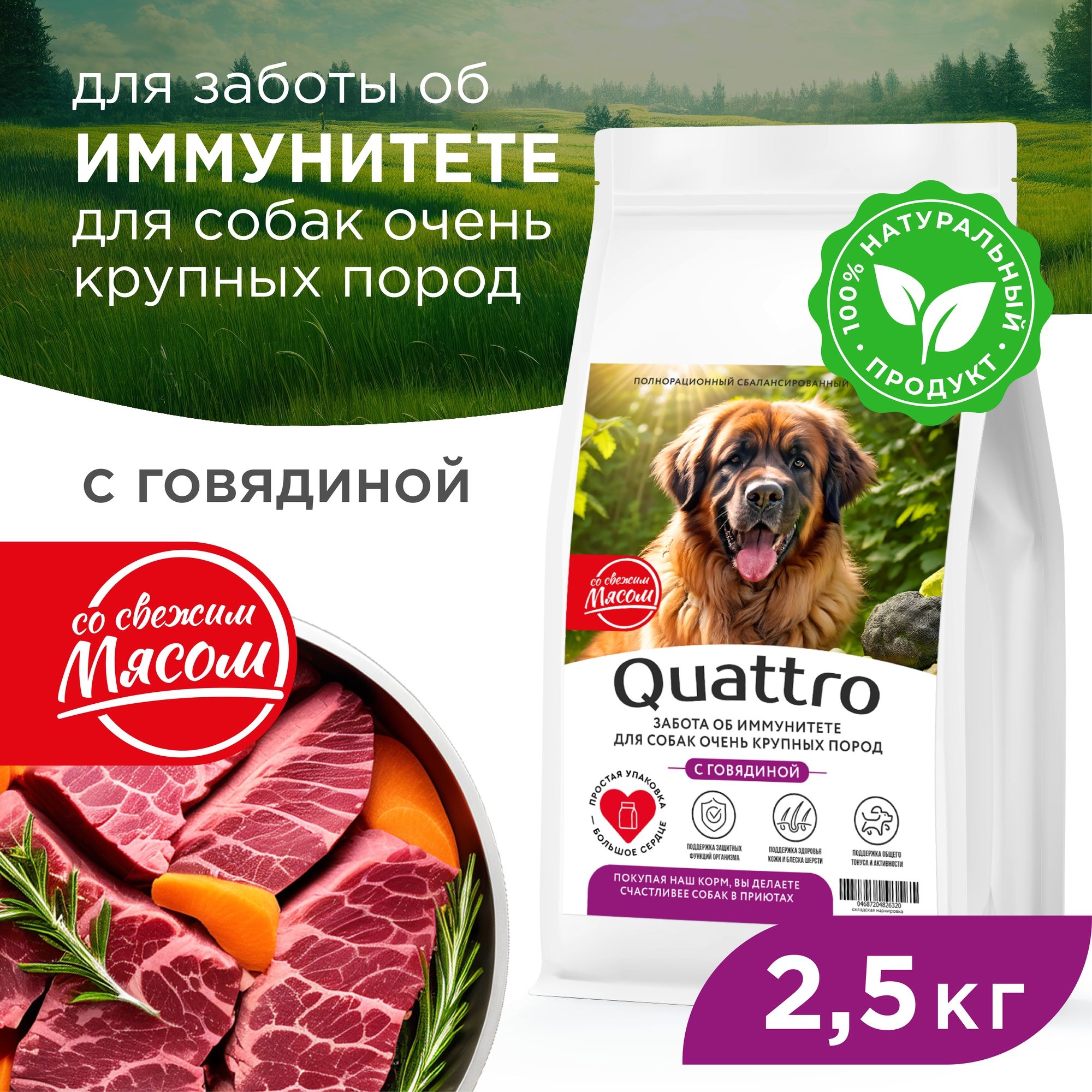 

Сухой корм для собак QUATTRO, большие породы, забота об иммунитете, с говядиной, 2,5 кг