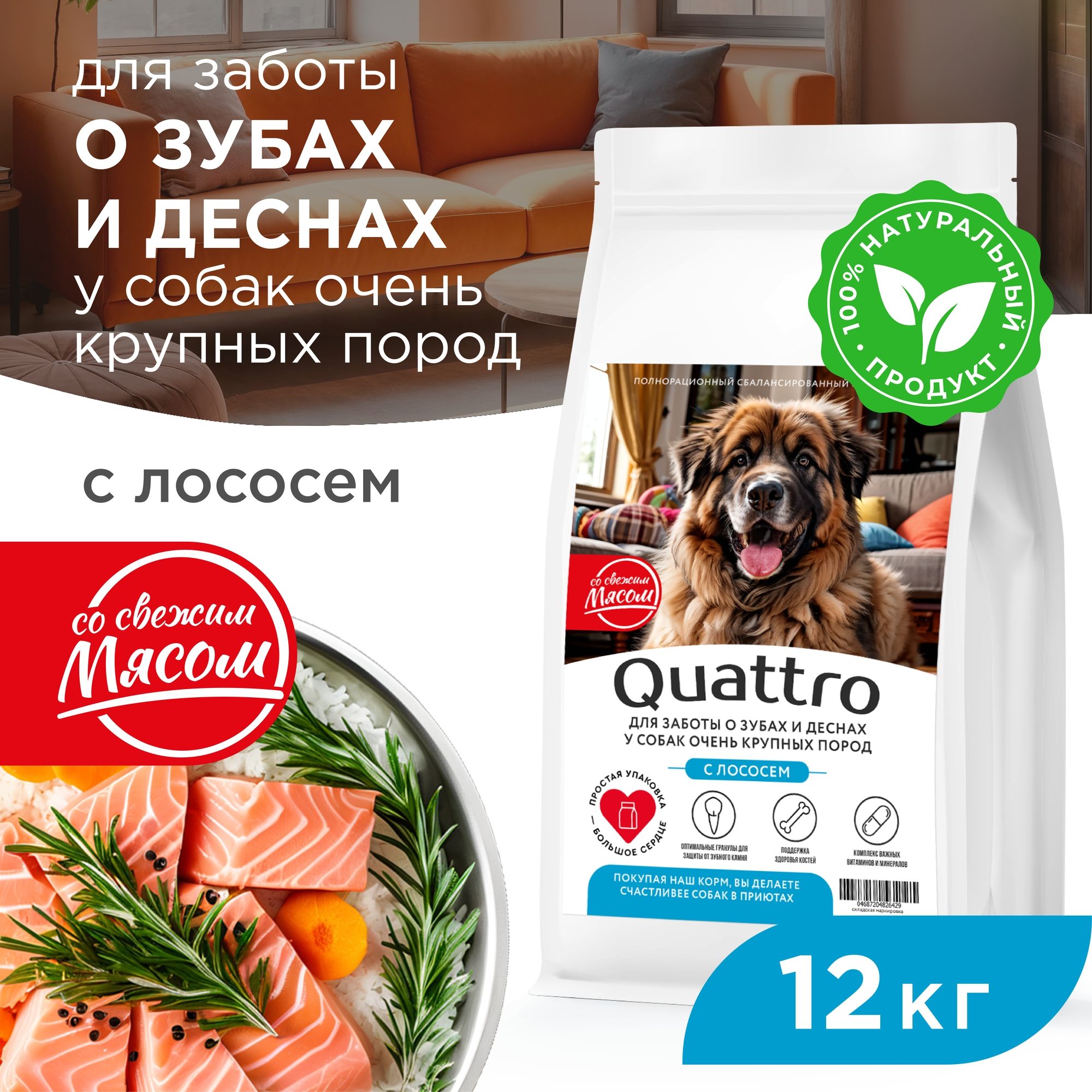 

Сухой корм для собак QUATTRO, большие породы, для заботы зубов и десен, с лососем, 12 кг