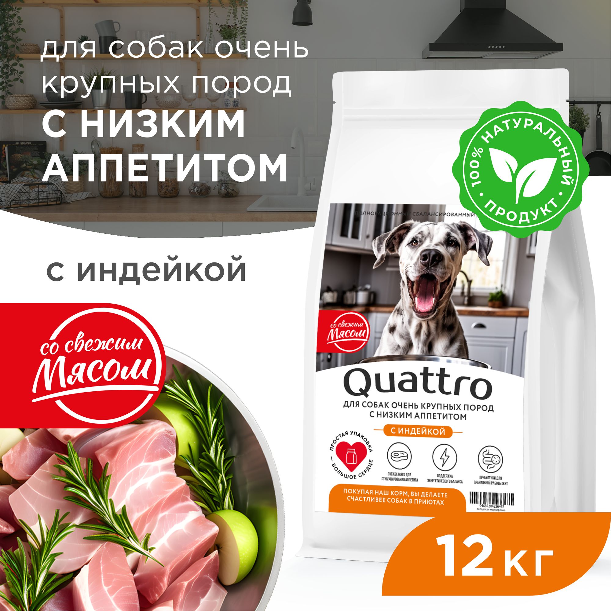 

Сухой корм для собак QUATTRO, большие породы, при слабом аппетите, с индейкой, 12 кг