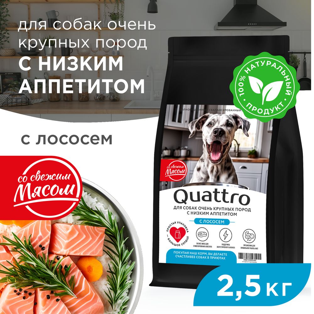 

Сухой корм для собак QUATTRO, большие породы, при слабом аппетите, с лососем, 2,5 кг