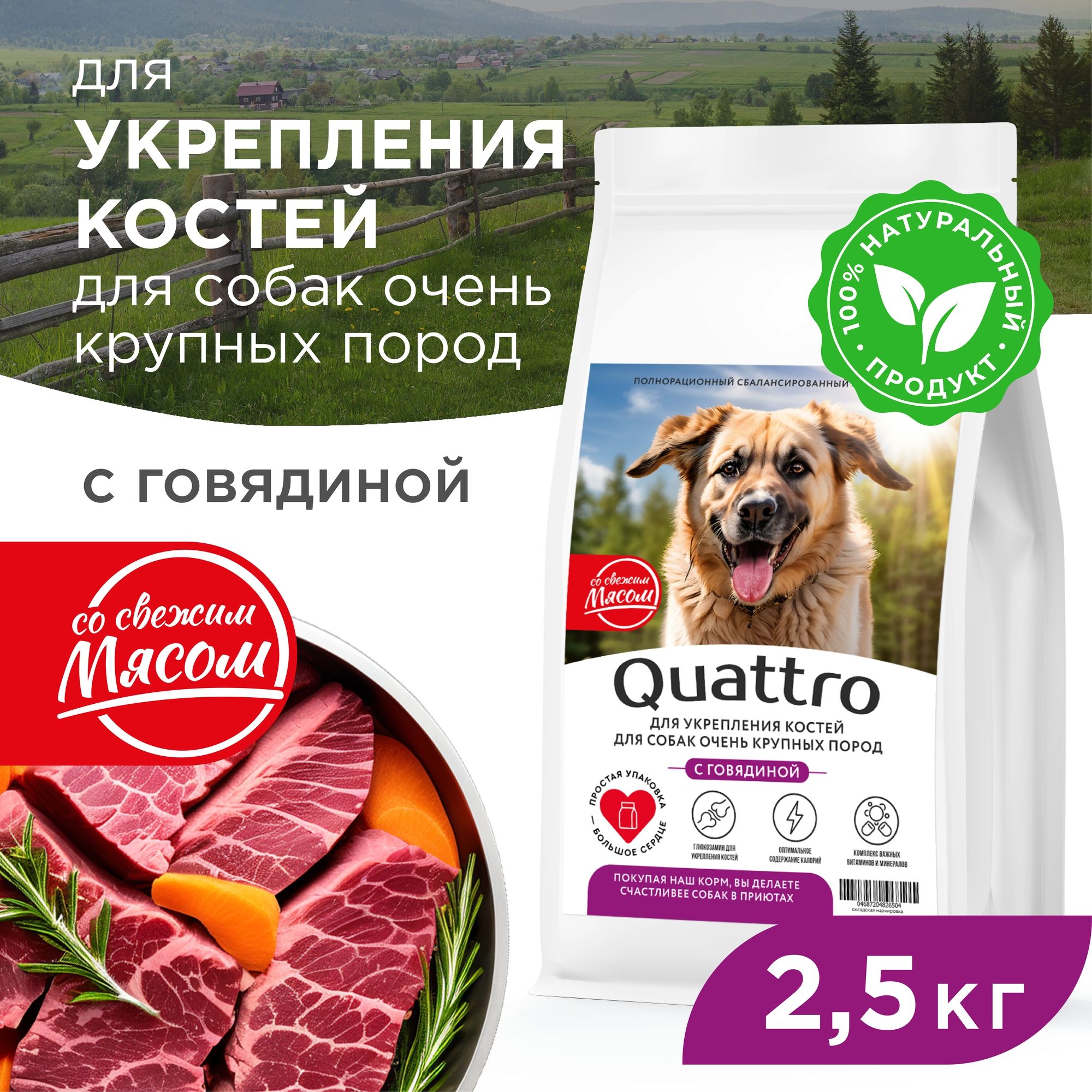 

Сухой корм для собак QUATTRO, большие породы, для укрепления костей, с говядиной, 2,5 кг