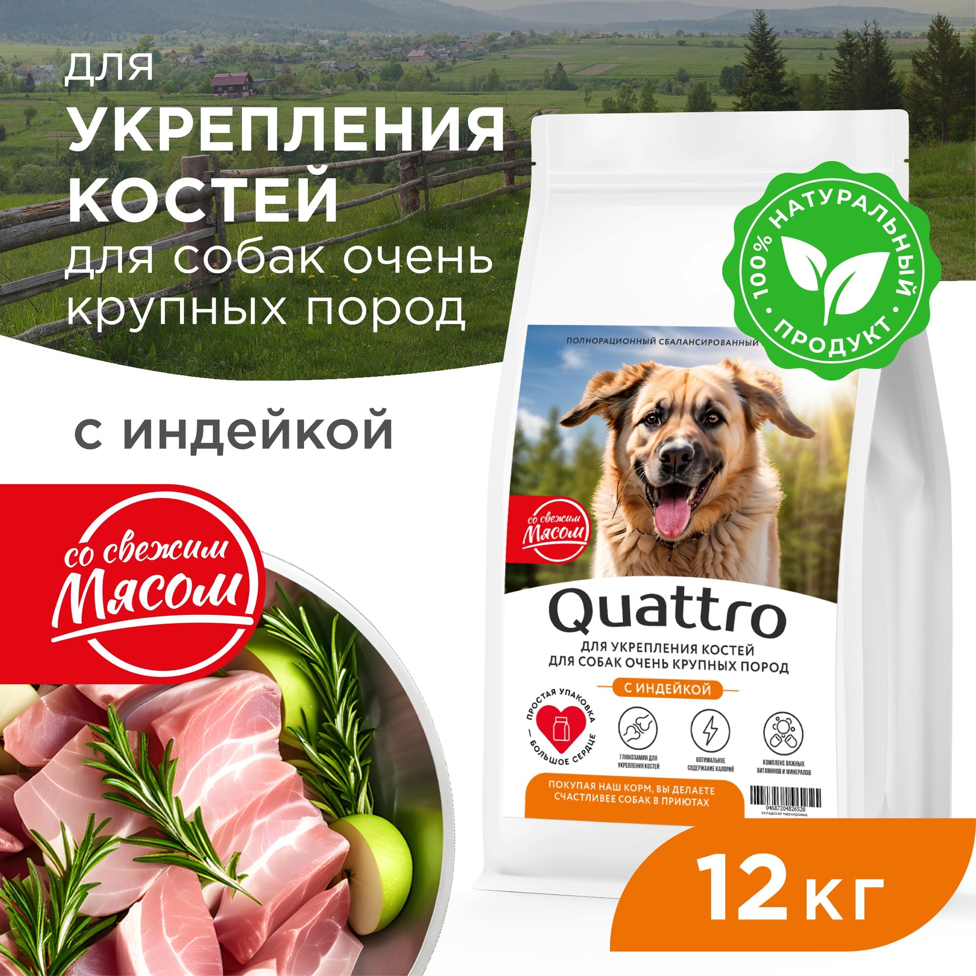 

Сухой корм для собак QUATTRO, большие породы, для укрепления костей, с индейкой, 12 кг