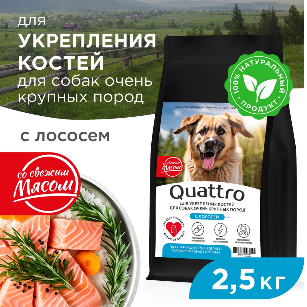 

Сухой корм для собак QUATTRO, большие породы, для укрепления костей, с лососем, 2,5 кг