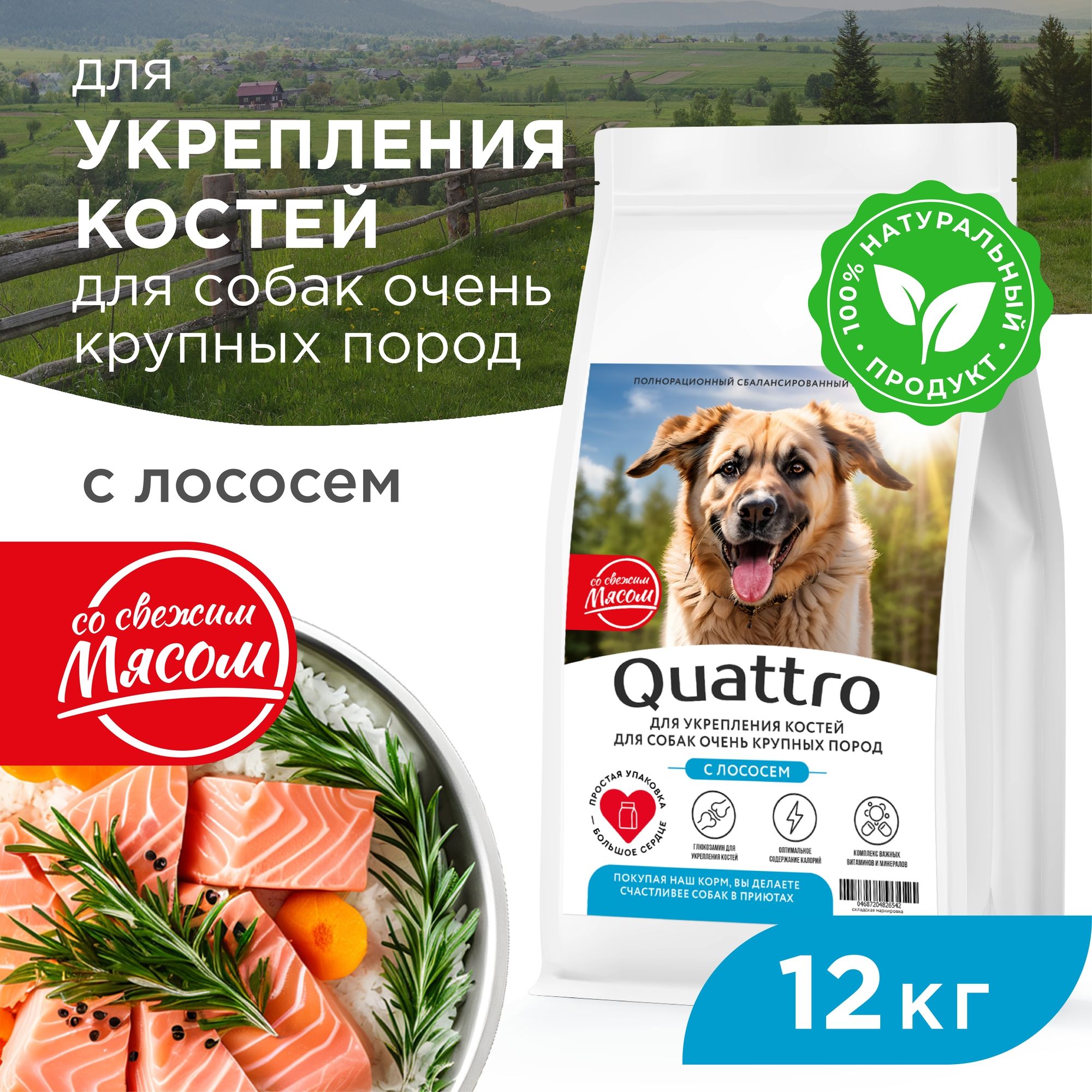 

Сухой корм для собак QUATTRO, большие породы, для укрепления костей, с лососем, 12 кг