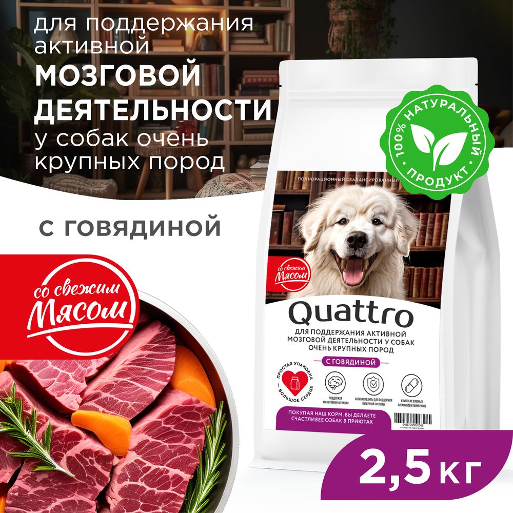 Сухой корм для собак QUATTRO, большие породы, для мозговой деятельности, говядина, 2,5 кг