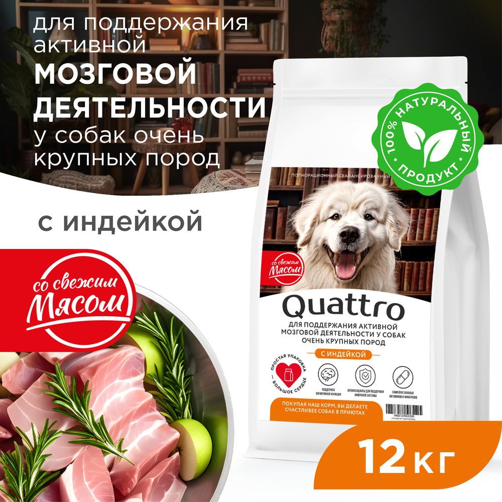 

Сухой корм для собак QUATTRO, большие породы, для мозговой деятельности, индейка, 12 кг