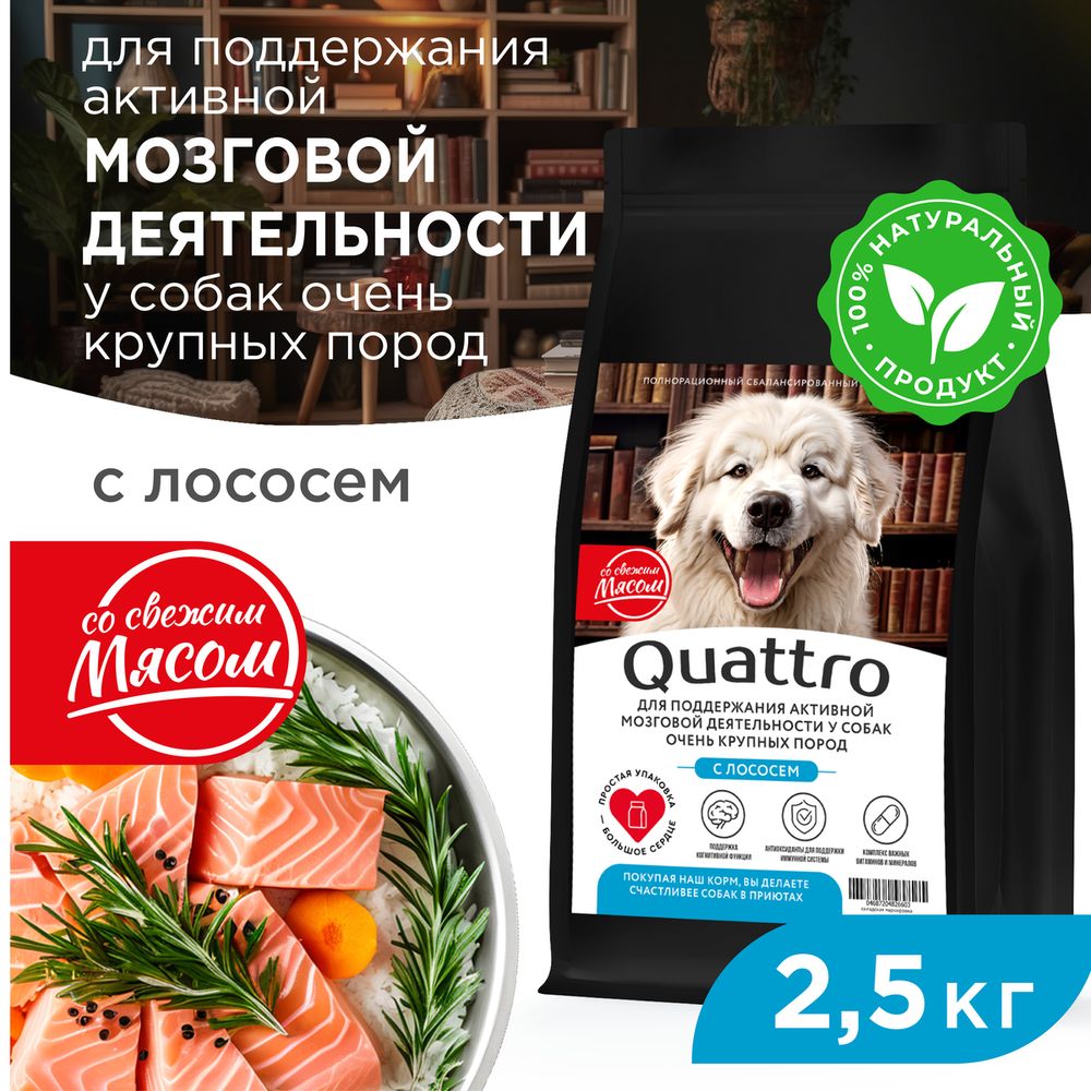 

Сухой корм для собак QUATTRO, большие породы, для мозговой деятельности, лосось, 2,5 кг