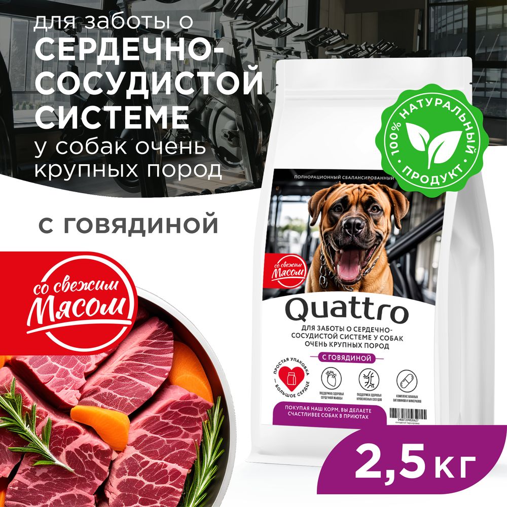 Сухой корм для собак QUATTRO, большие породы, для сердца и сосудов, с говядиной, 2,5 кг