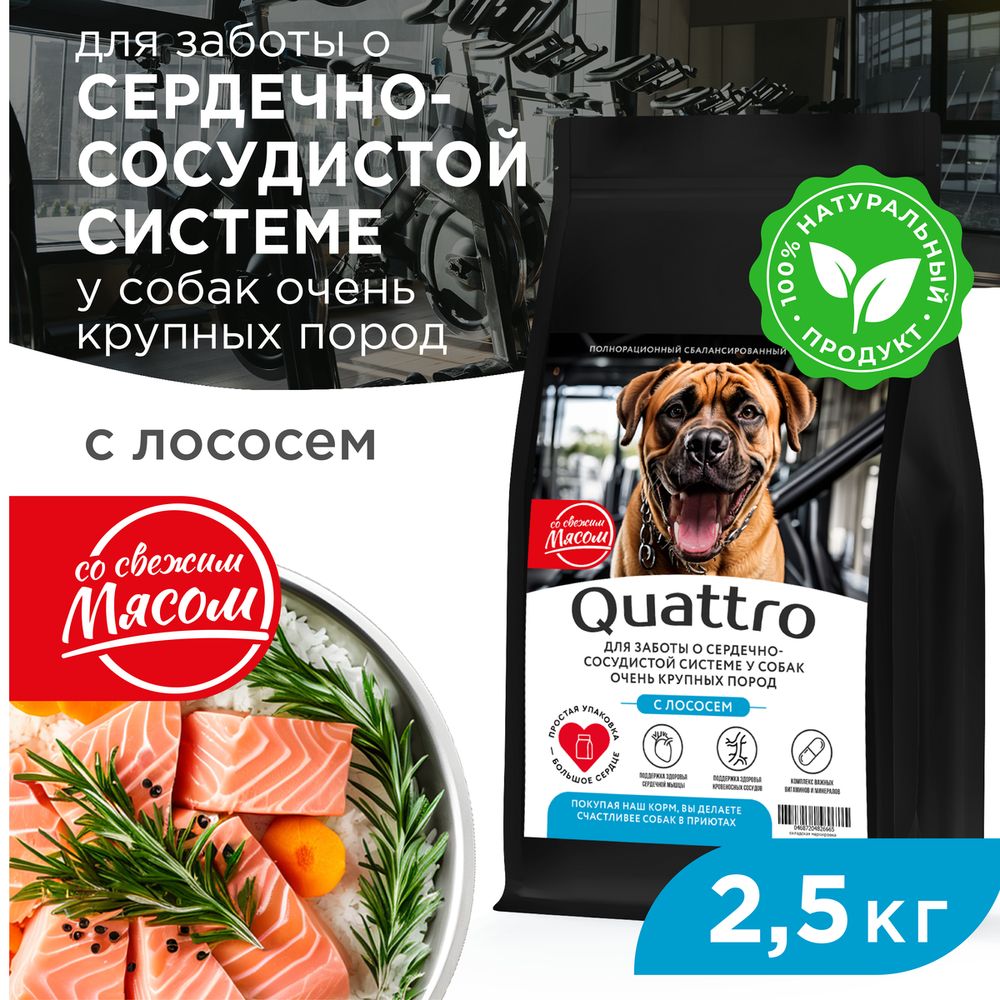 

Сухой корм для собак QUATTRO, большие породы, для сердца и сосудов, с лососем, 2,5 кг