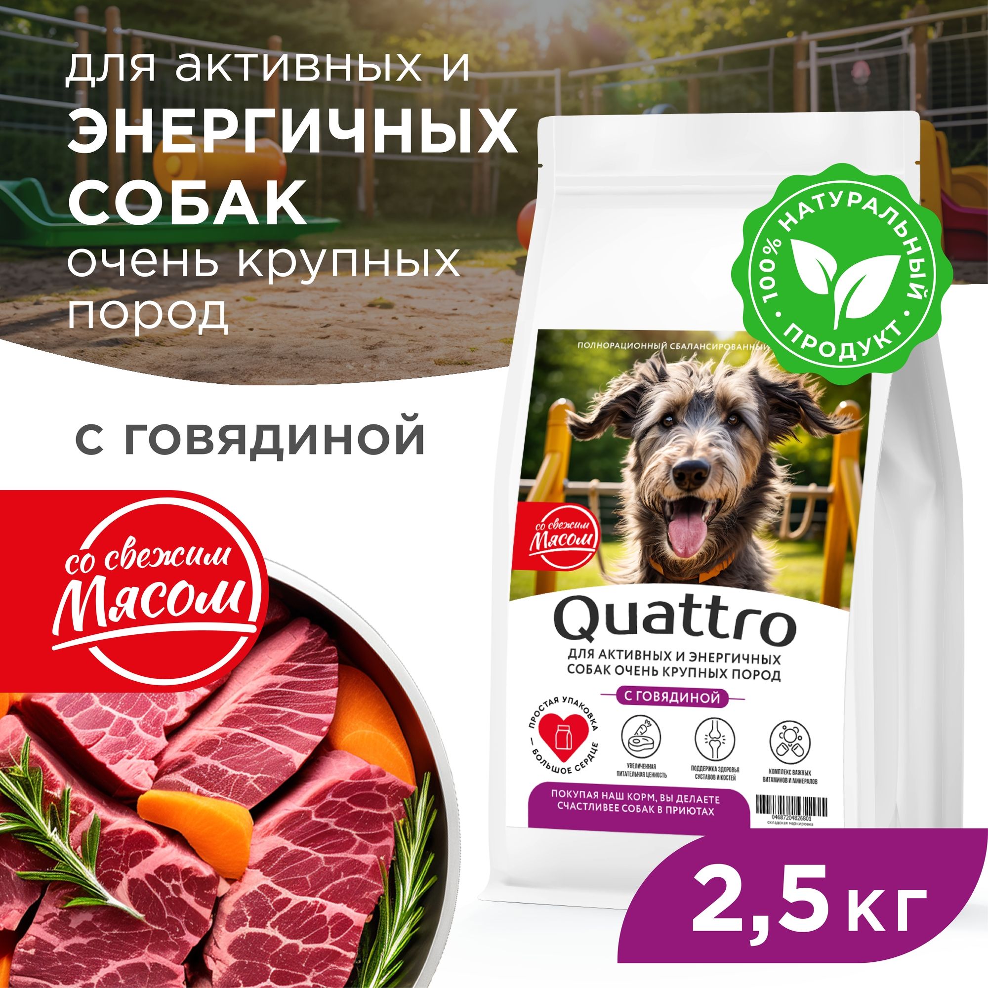 Сухой корм для собак QUATTRO, большие породы, для активных и энергичных, говядина, 2,5 кг