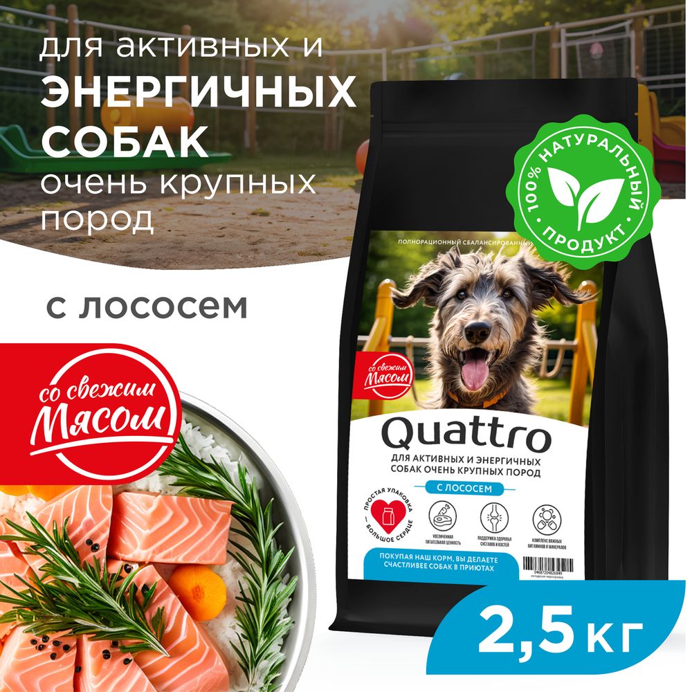 

Сухой корм для собак QUATTRO, большие породы, для активных и энергичных, с лососем, 2,5 кг