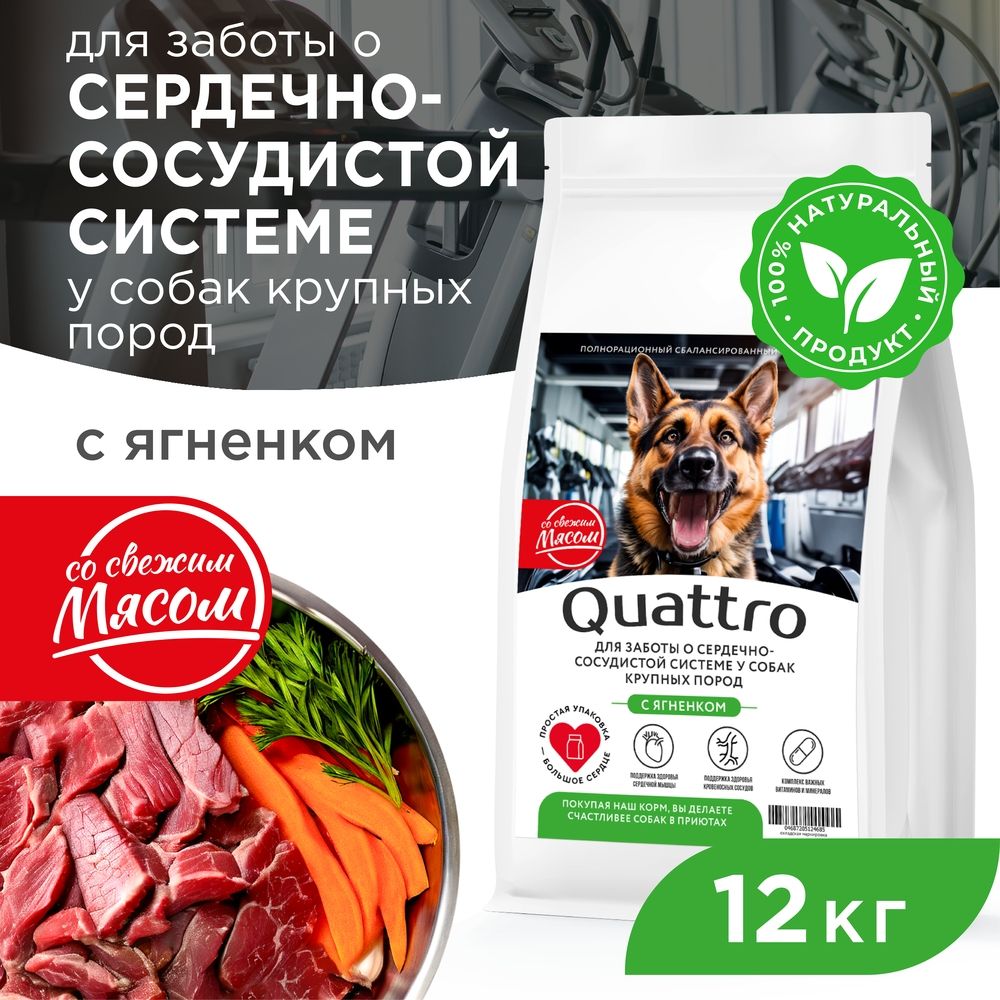 

Сухой корм для собак QUATTRO, крупные породы, для сердца и сосудов, с ягненком, 12 кг