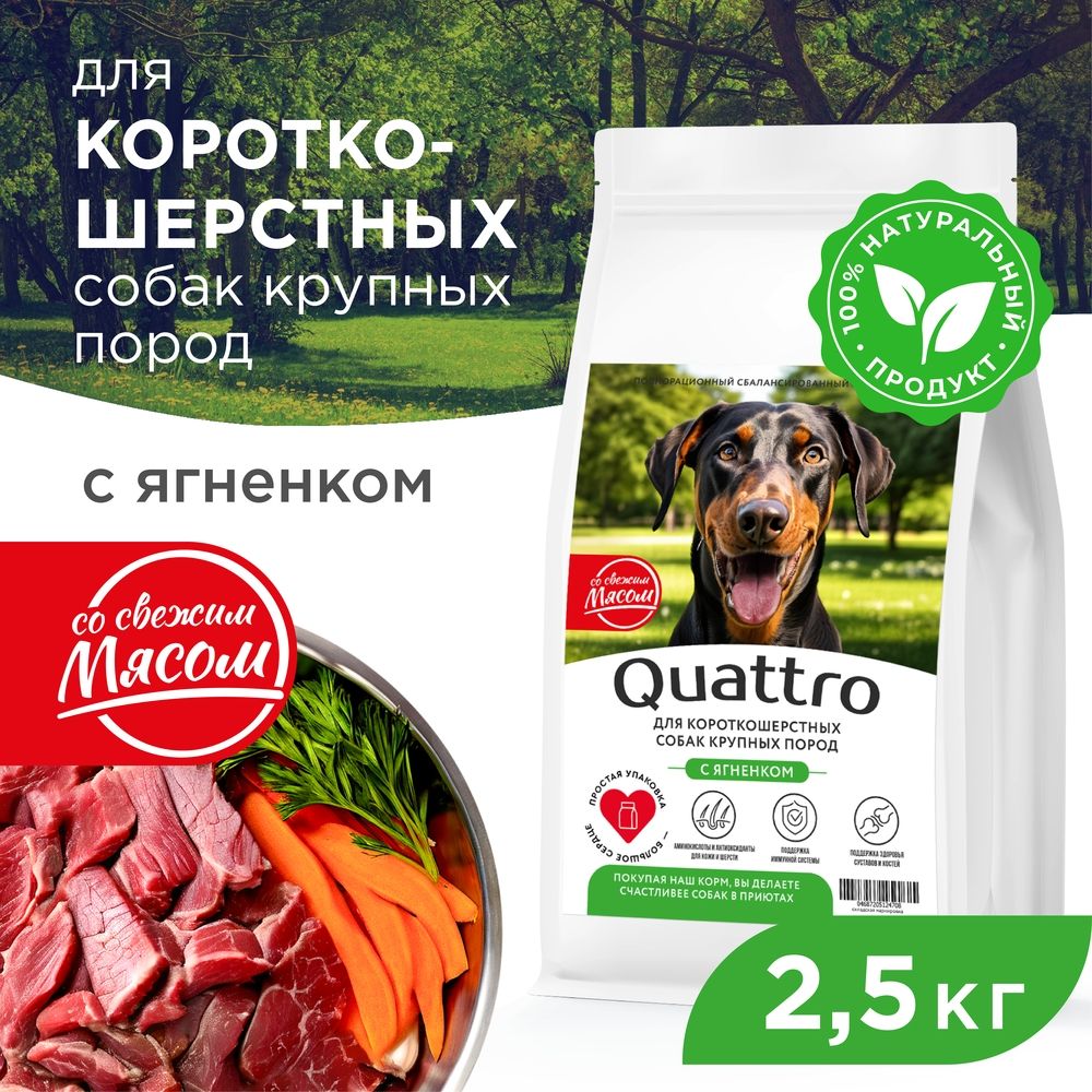 

Сухой корм для собак QUATTRO, крупные короткошерстные породы, с ягненком, 2,5 кг