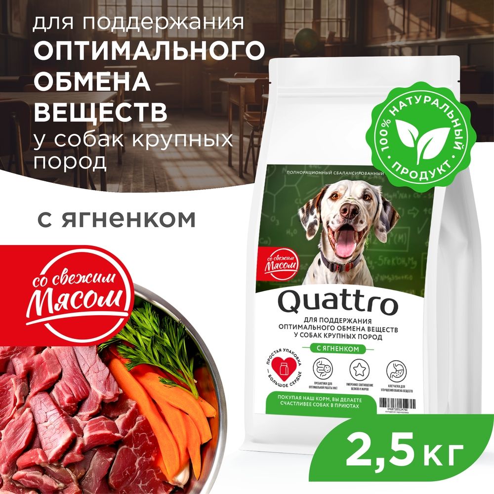 

Сухой корм для собак QUATTRO, крупные породы, забота об обмене веществ, с ягненком, 2,5 кг