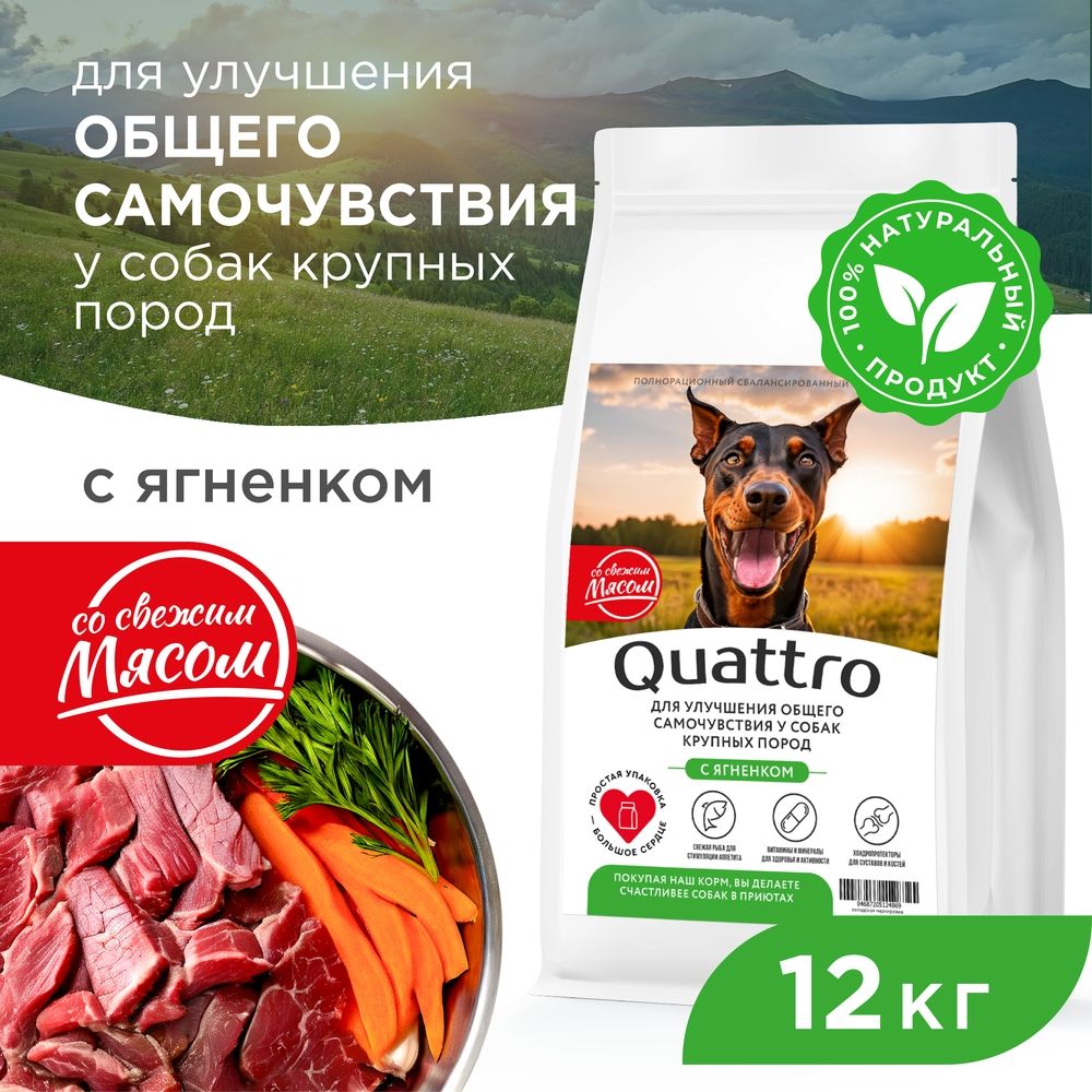 

Сухой корм для собак QUATTRO, крупные породы, улучшение самочувствия, с ягненком, 12 кг