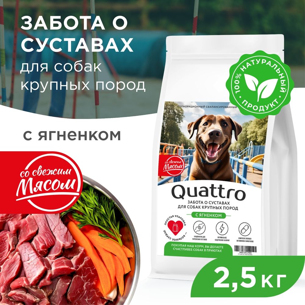 

Сухой корм для собак QUATTRO, крупные породы, забота о суставах, с ягненком, 2,5 кг