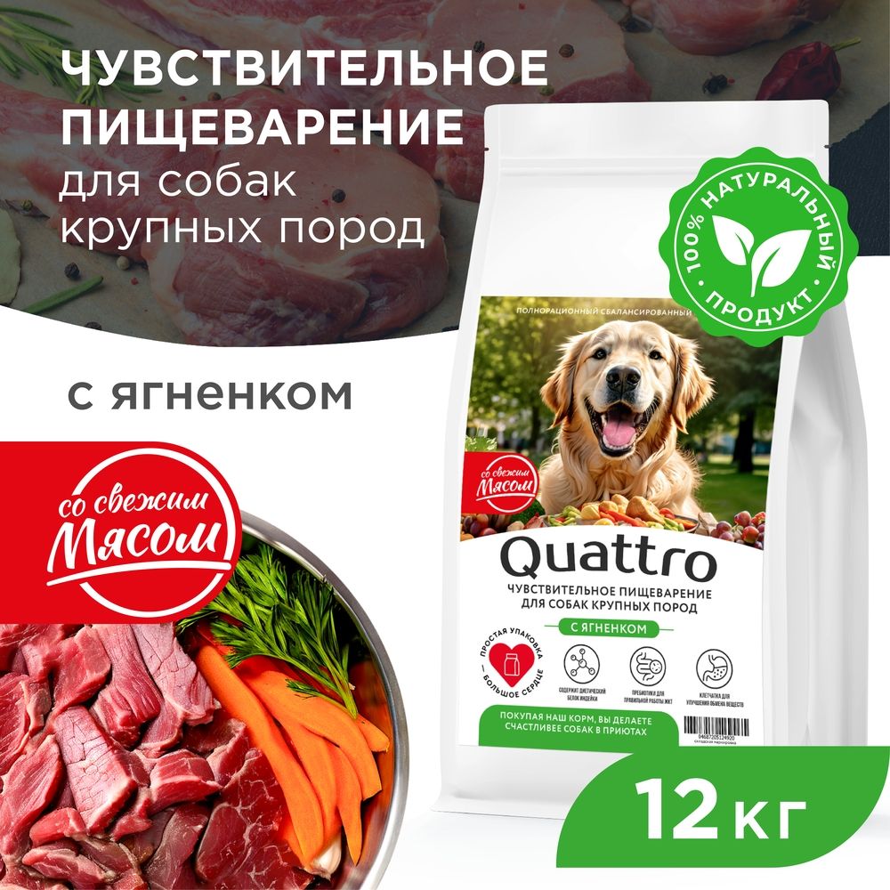 

Сухой корм для собак QUATTRO, крупные породы, чувствительное пищеварение, ягненок, 12 кг