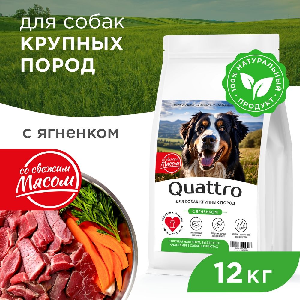 

Сухой корм для собак QUATTRO, крупные породы, сбалансированный, с ягненком, 12 кг