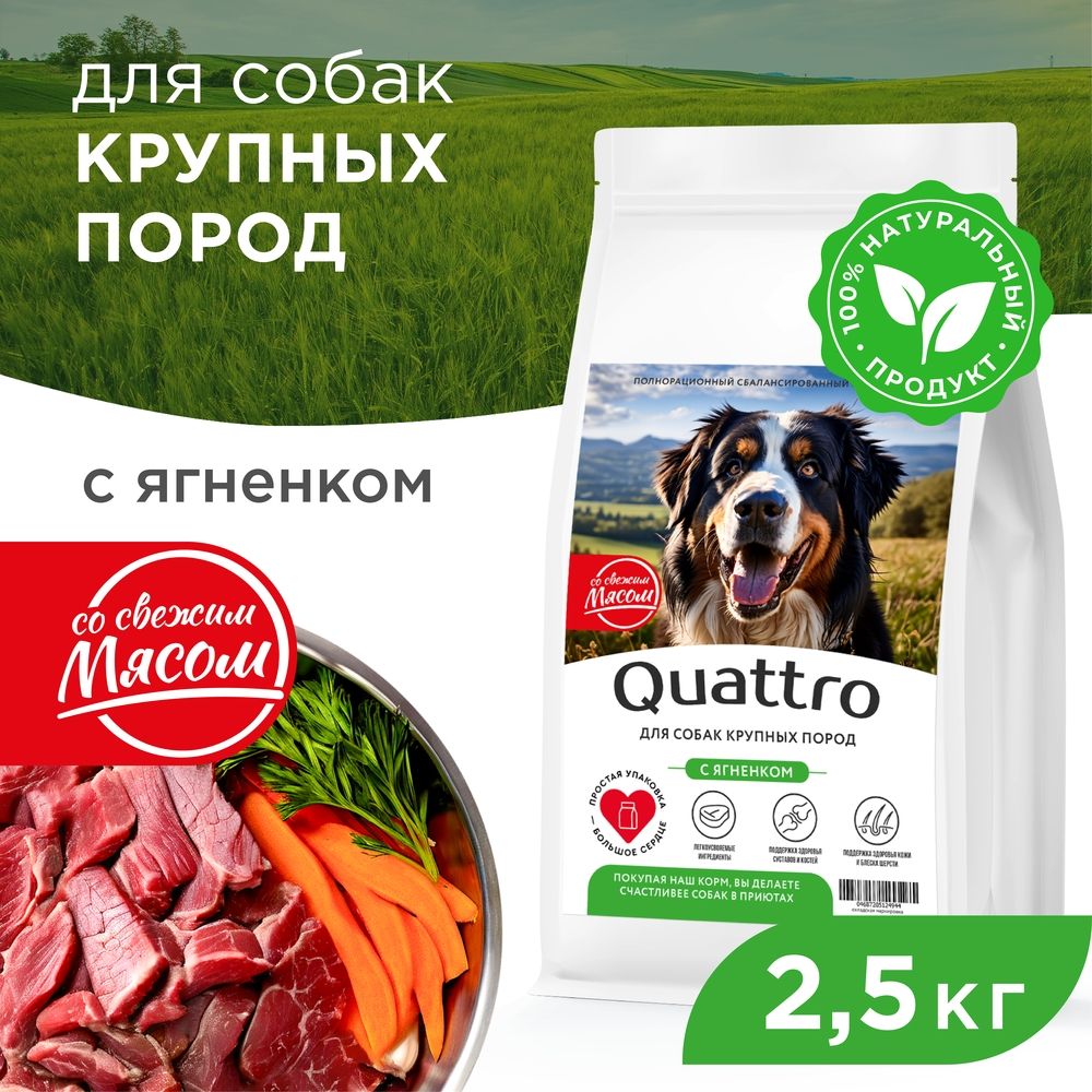 

Сухой корм для собак QUATTRO, крупные породы, сбалансированный, с ягненком, 2,5 кг