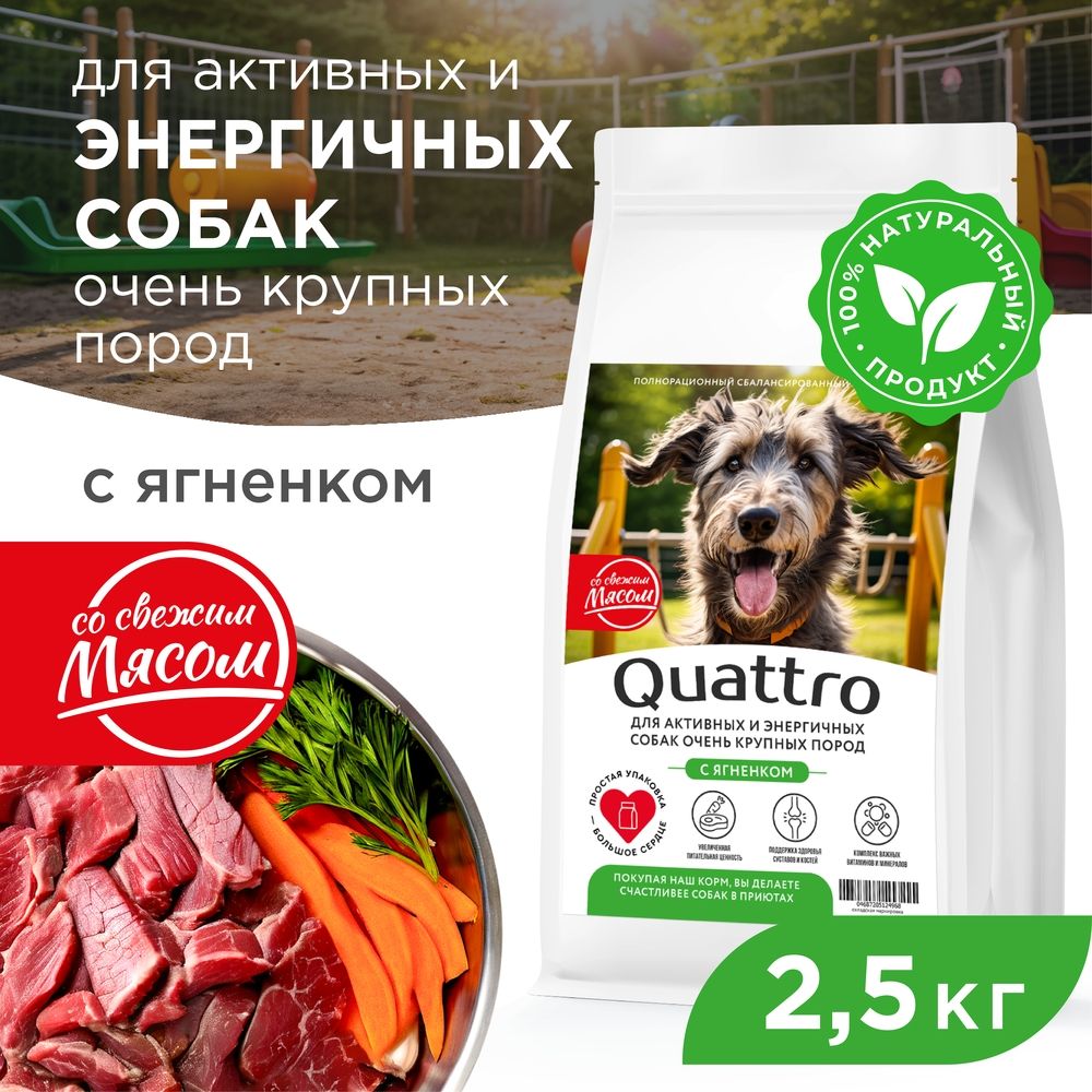 

Сухой корм для собак QUATTRO, большие породы, для активных и энергичных, ягненок, 2,5 кг
