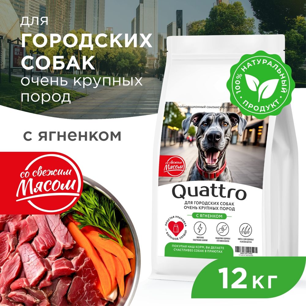 

Сухой корм для собак QUATTRO, большие породы, для живущих в городе, с ягненком, 12 кг