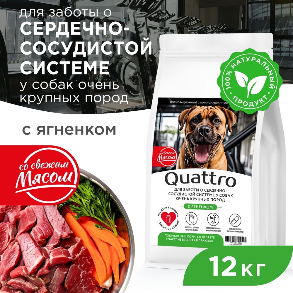 Сухой корм для собак QUATTRO, большие породы, для сердца и сосудов, с ягненком, 12 кг