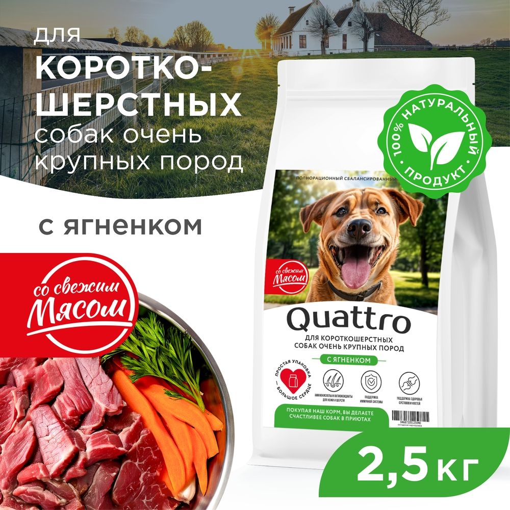 

Сухой корм для собак QUATTRO, большие короткошерстные породы, с ягненком, 2,5 кг