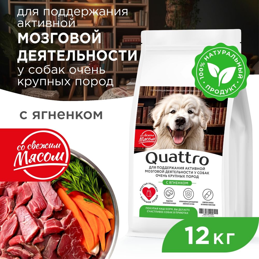 

Сухой корм для собак QUATTRO, большие породы, для мозговой деятельности, с ягненком, 12 кг