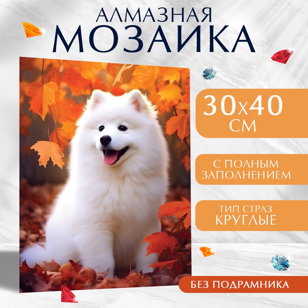 

Алмазная вышивка полное заполнение Школа талантов Собачка на холсте 9929761, Собачка