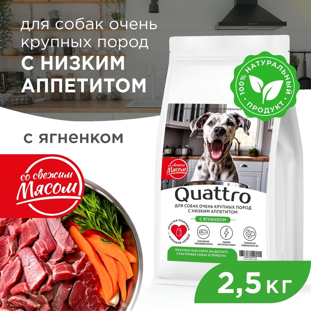 

Сухой корм для собак QUATTRO, большие породы, при слабом аппетите, с ягненком, 2,5 кг