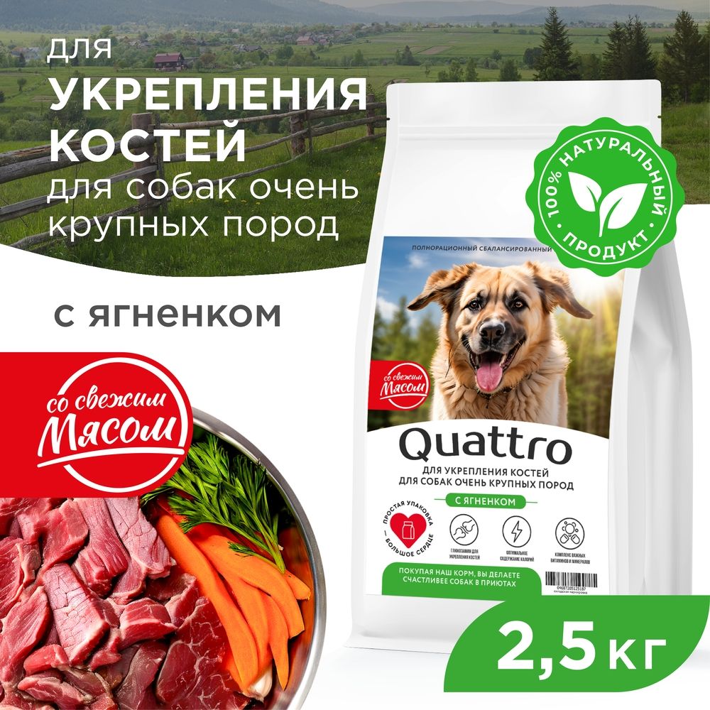 

Сухой корм для собак QUATTRO, большие породы, укрепление костей, с ягненком, 2,5 кг