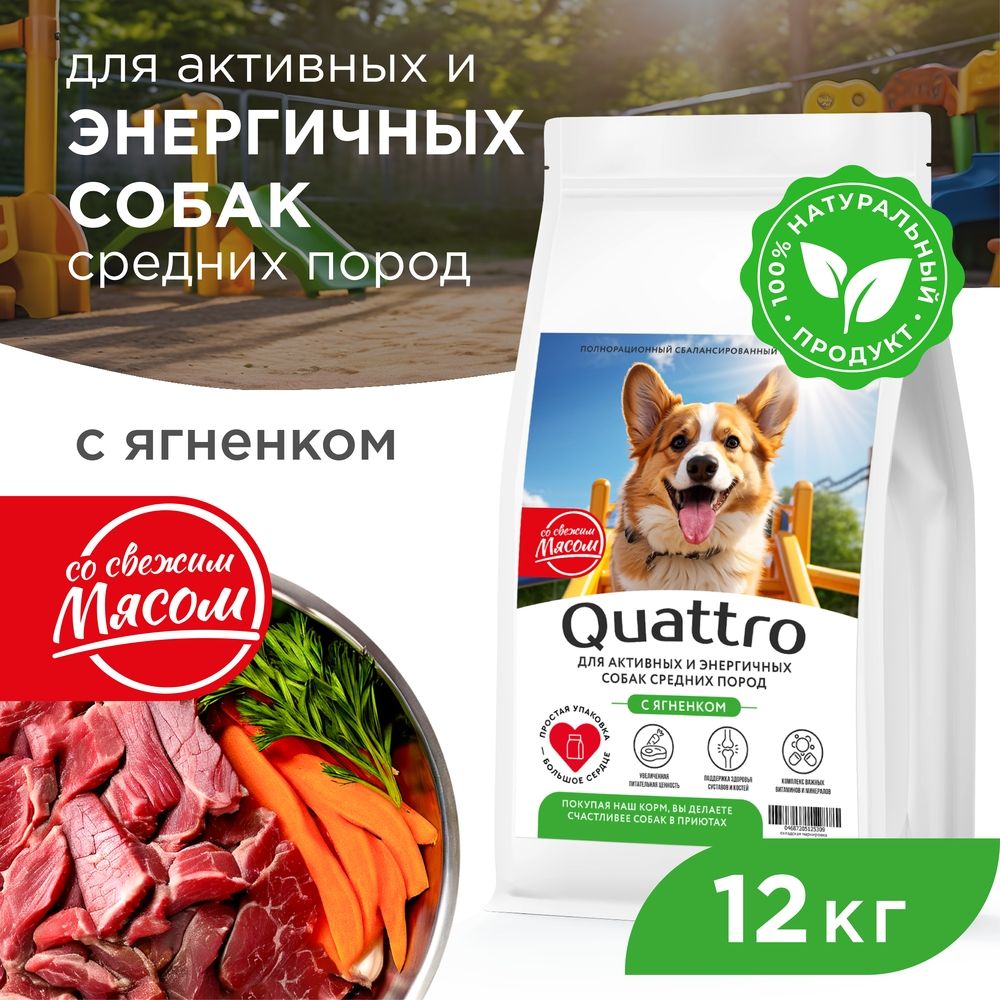 

Сухой корм для собак QUATTRO, средние породы, для активных и энергичных, ягненок, 12 кг