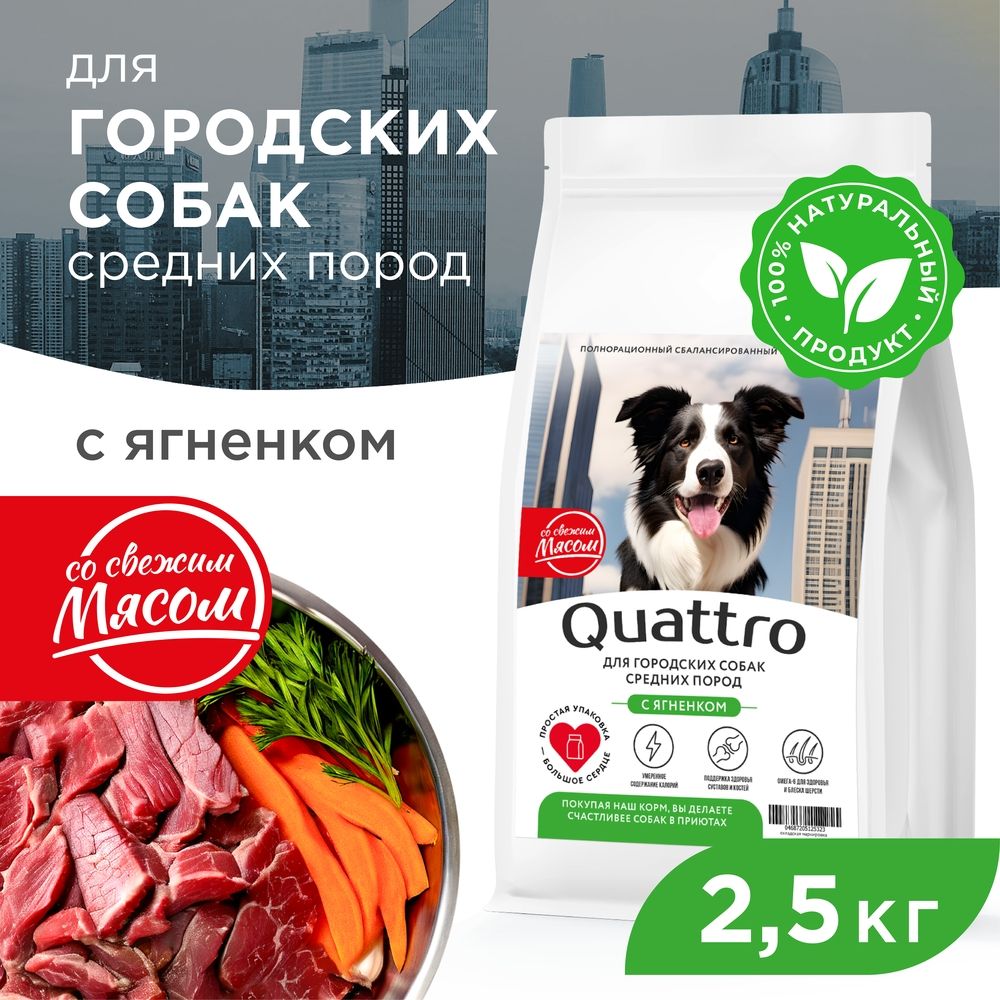 

Сухой корм для собак QUATTRO, средние породы, для живущих в городе, с ягненком, 2,5 кг