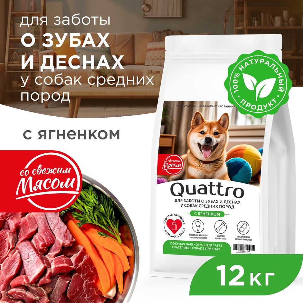 Сухой корм для собак QUATTRO, средние породы, для заботы зубов и десен, с ягненком, 12 кг