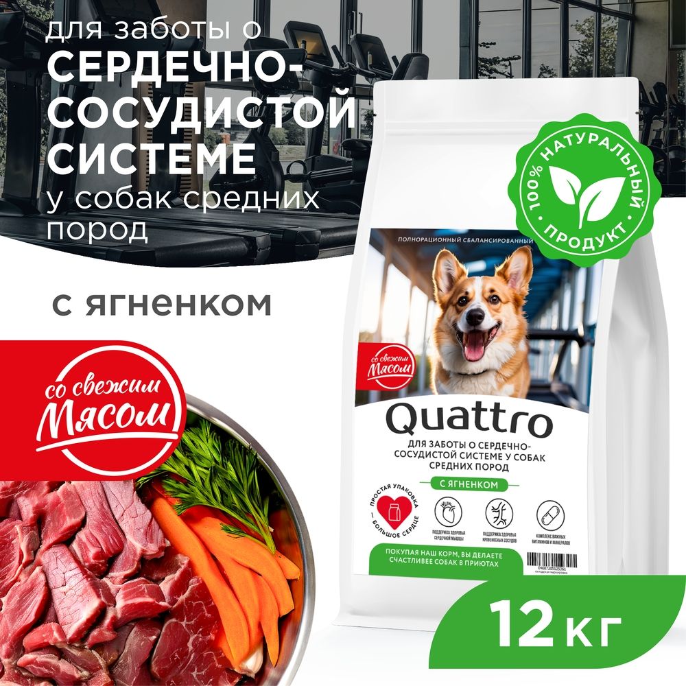 

Сухой корм для собак QUATTRO, средние породы, для сердца и сосудов, с ягненком, 12 кг