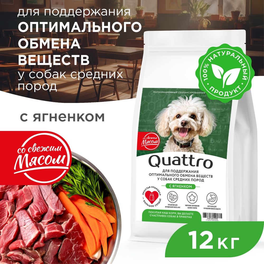 

Сухой корм для собак QUATTRO, средние породы, забота об обмене веществ, с ягненком, 12 кг