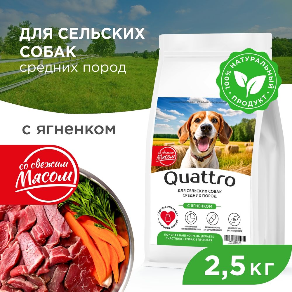 

Сухой корм для собак QUATTRO, средние породы, для живущих в деревне, с ягненком, 2,5 кг