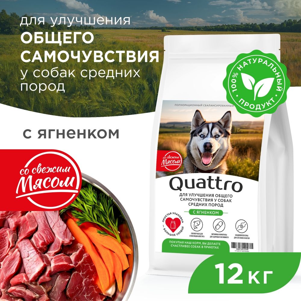 

Сухой корм для собак QUATTRO, средние породы, улучшение самочувствия, с ягненком, 12 кг