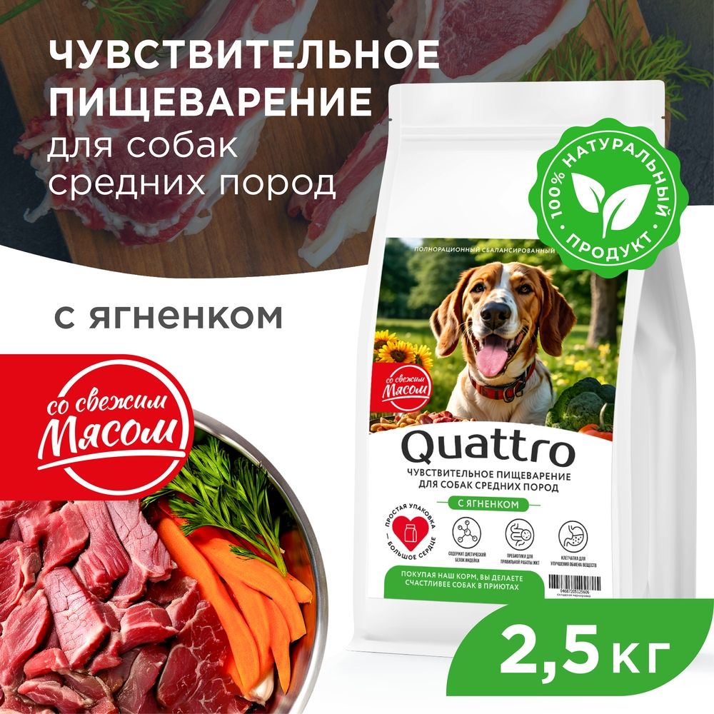 

Сухой корм для собак QUATTRO, средние породы, чувствительное пищеварение, ягненок, 2,5 кг