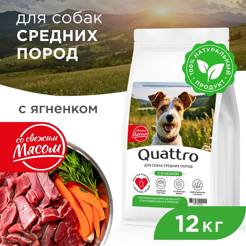 

Сухой корм для собак QUATTRO, средние породы, сбалансированный, с ягненком, 12 кг
