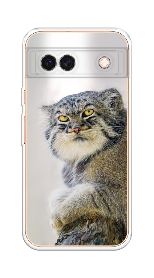 

Чехол на Google Pixel 8A "Кот манул 1", Серый;белый;желтый, 271750-1