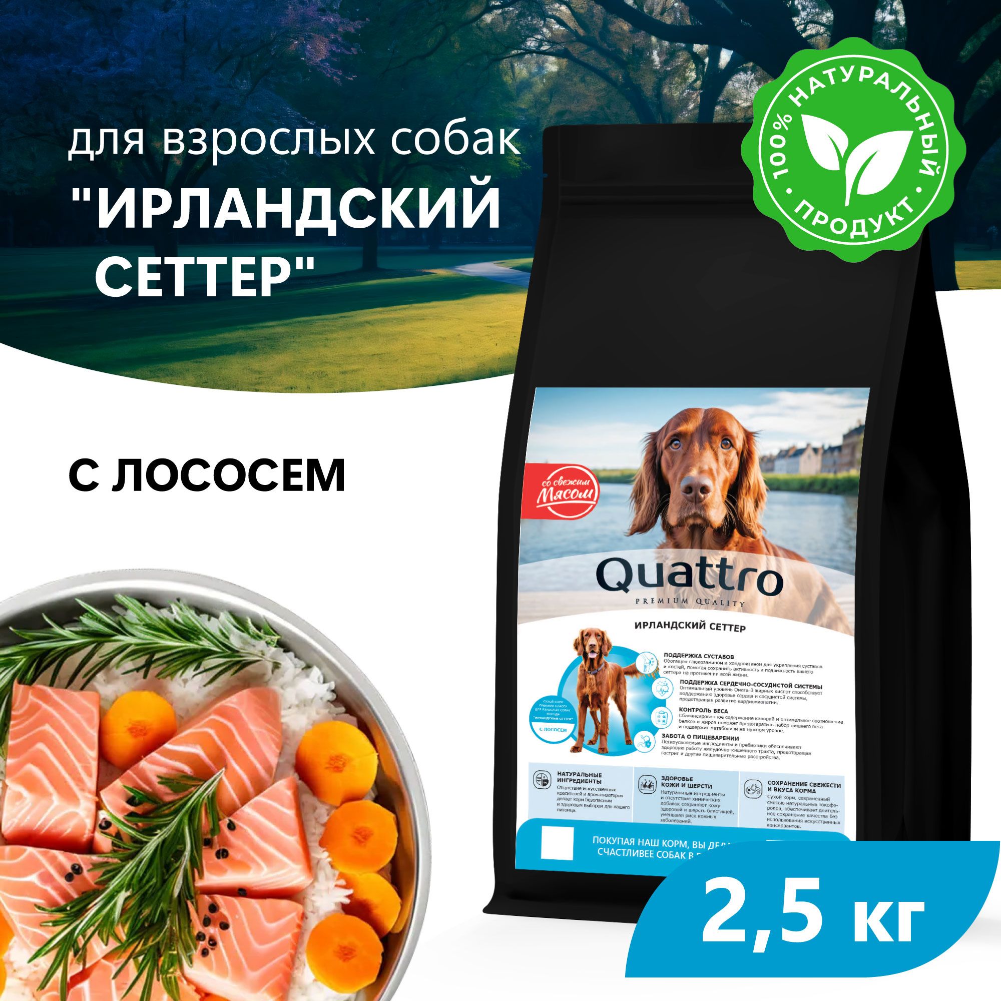 

Сухой корм для собак QUATTRO для породы Ирландский сеттер, с лососем, 2,5 кг