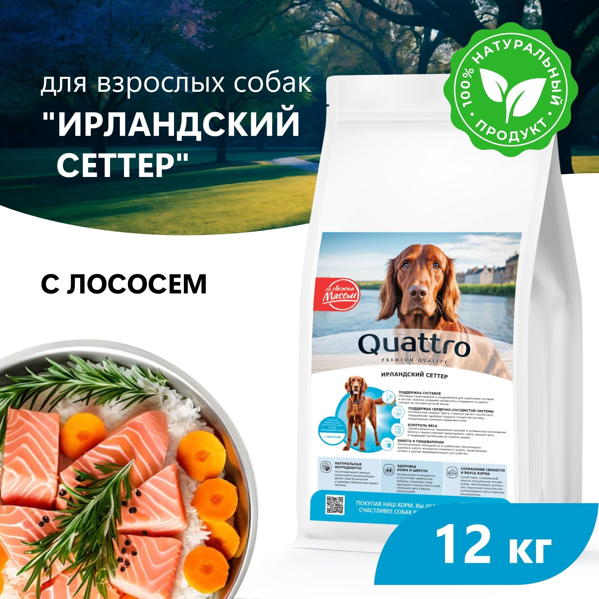 

Сухой корм для собак QUATTRO для породы Ирландский сеттер, с лососем, 12 кг
