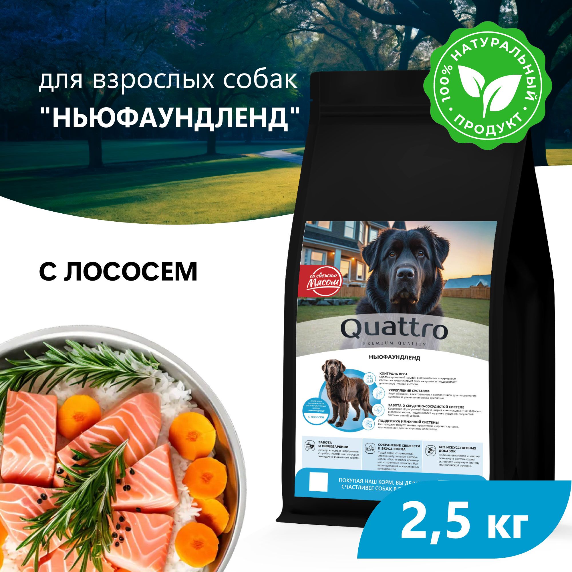 

Сухой корм для собак QUATTRO для породы Ньюфаундленд, с лососем, 2,5 кг