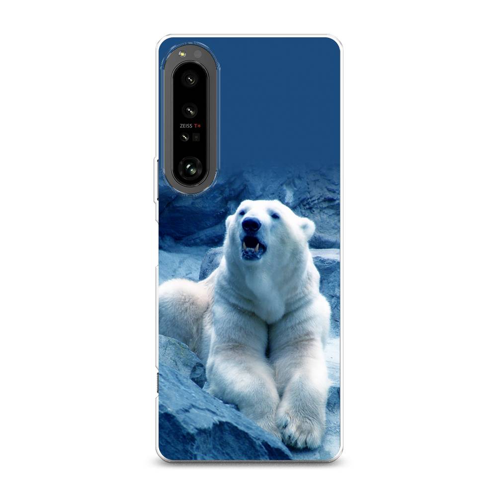 

Чехол на Sony Xperia 1 IV "Белый медведь", Голубой;белый, 55150-1